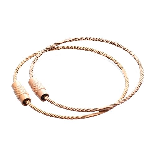 FcaLdqy 10Pcs 150mm Keychain Tag Rope Stainless Steel Wire Cable Loop Screw Lock Gadget Lock up DIY Hand Tools Accessories (Size : 150mm)(Coffee)