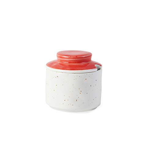Pot assaisonnement céramique maison créative pour stopper l'humidité du sel
