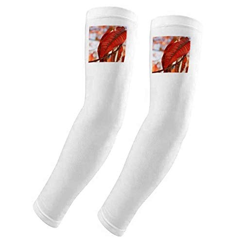 Housse de gants feuille d'érable rouge pour vos sorties vélo