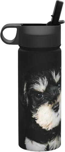 ~j`AEViEU[̎q  ^fM ۉ ۗ X|[c{g lC XeX{g X|[cΉ RȂ 530ml j̎q ̎q  v[g