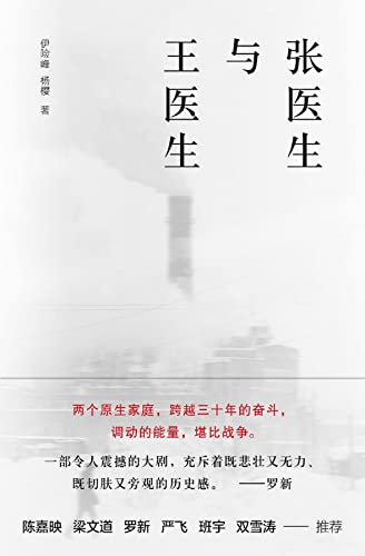 张医生与王医生 (Chinese Edition) - 伊险峰