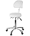 Silverfox 1025B Professional Adjustable Rolling Stool with Backrest, 3-Way Motion Control, 18”–25” Height Range, Chrome 5-Star Base & Casters – Salon, Spa & Medical Use, SFA-1025B (White)