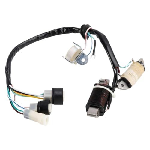 �C�O�j�b�V�����R�C�� YFM80 YFM100 Badger Champ 1989 1994 �ƌ݊�������