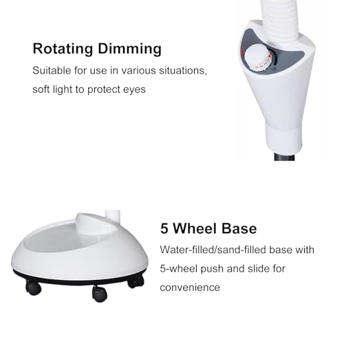 Lampe d'examen médical à LED mobile avec col de cygne et loupe 8X