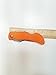 Hunter's Choice Replaceable Blade Folding Knife - 10 Wiebe Wicked Sharp Blades