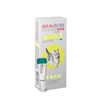 Bravecto Plus Antipulgas e Carrapatos Gatos 1,2 a 2,8Kg