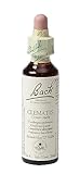 Bach Clematis/Bosrank, 20 Ml, 1 Unidades