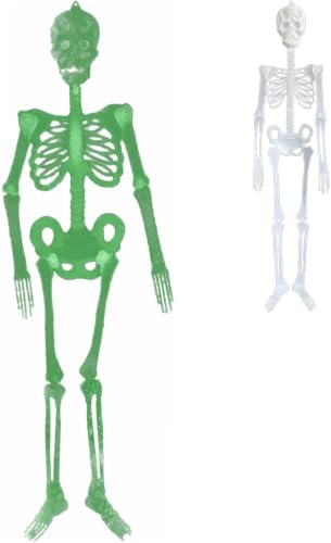 Halloween Skeleton Decoration, 5 Ft Glow in the Dark,Door Hanger Props - image 1