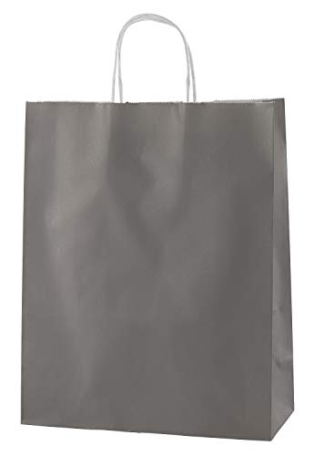 Thepaperbagstore 25 Papiertragetaschen, Recycelbar Und Wiederverwendbar, Mit Gedrehten Griffen - Wählen Sie Ihre Größe und Farbe (Mittel: 250 x 110 x 310mm, Grau)