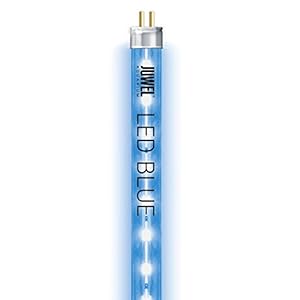 Juwel Aquarium Tubo LED Blu x, Bianco, 1 nanometer