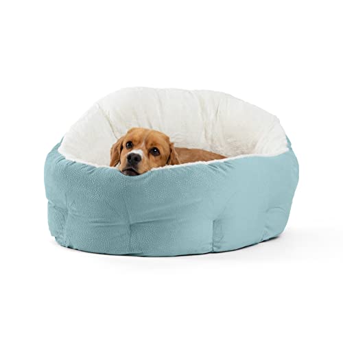 5 Best Heated Dog Beds of 2024 Pango Pets