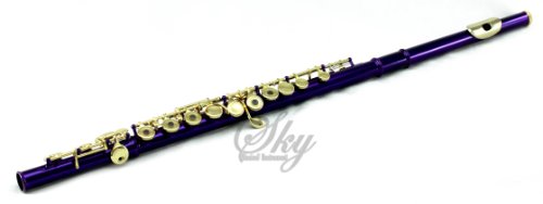 Sky Purple Lacquer Gold Keys Open Hole C Flute with 1 Year Manufacturer