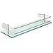 Sayayo Étagère de Salle de Bain Étagère en Verre Trempé avec Rail Fixation Murale Longueur 40CM, Acier Inoxydable Fini Nickel Brossé, EGC1000-40-LS