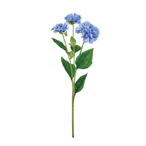 (Tokyodo)  Z[k_A #010u[ Ԍa6`9×L51cm 1 FM002986-010