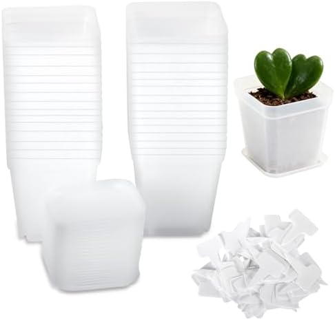 30 Pieces 7 cm Small Square Plastic Pots with Saucers and Labels ...