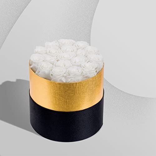 Perfectione Roses White Roses In Box Handmade Preserved Rose That Last Up To Three Years, Long Lasting Rose Valentines Day Gifts For Her Birthday Gifts For Wife Christmas Day Gifts #TOP1