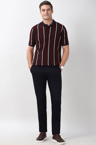 Image of Peter England Men's 100% Cotton Vertical Striped Polo T-Shirt - Casual Wear | Sleek & Comfortable