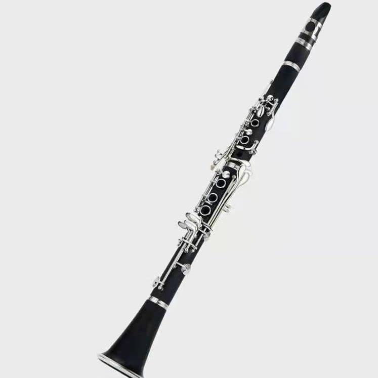 Clarinetto B Flat – Clarinetto in bachelite durevole per principianti, ideale per lezioni di musica e pratica, leggero e facile da suonare