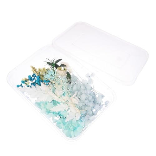 Flores secas prensadas para manualidades DIY miniatura 1
