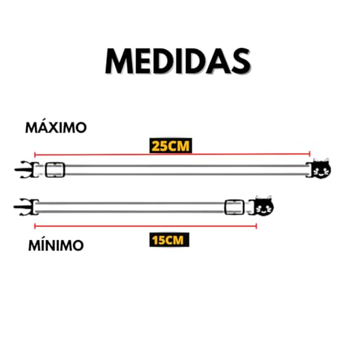 Coleira Gato com Placa de Identificação e Fecho Anti Enforcamento (AZUL)