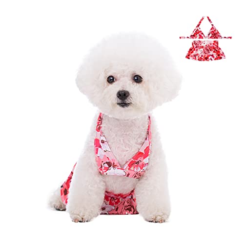 Image of Dog Bikini Swimsuit Summer Doggie Bathing Dress Leopard Rainbow Cat Skirt Beach Outfit for Puppy Dog Cat (S, Floral)
