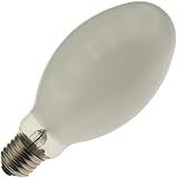 Industrial Performance Replacement for Eye Lighting 67947, 100WSB/E21W, 100 Watt, Mercury Vapor HID Light Bulb (1 Pack)