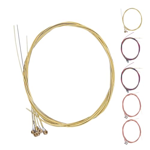 ELAYARD �A�R�[�X�e�B�b�N�M�^�[���Z�b�g 6�Z�b�g���� �ԓ� �^�J �J���[�X�`�[���� �ϋv���ɗǂ� ���S�҂��牉�t�Ҍ���