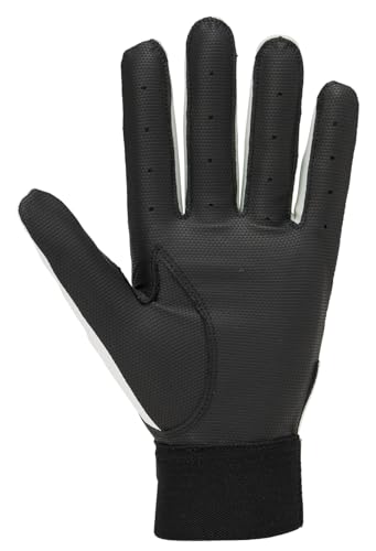 Rawlings 野球用バッティンググローブ EBG25S01 JM