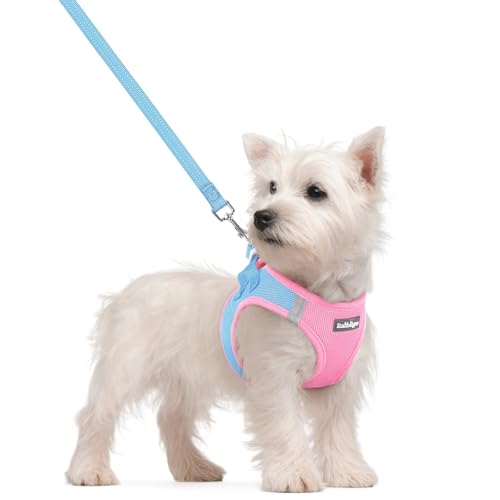 Image of rabbitgoo Dog Harness Small Sized and Leash Set, Step-in Puppy Pet Vest
