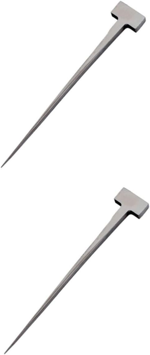 BESPORTBLE 2pcs Premium Stainless Steel EEL Spike T-Shaped Nail for Killing Fish Ergonomic Design Smooth Finish Easy to Use for Kitchen and Seafood Preparation