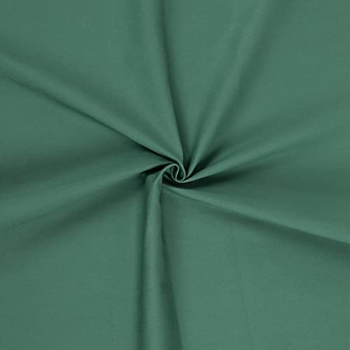 KIYOHARA パレットカラー帆布 11号 生地 無地 綿100% 約110cm×50cmカット Col.AG アッシュグリーン KOF02-50