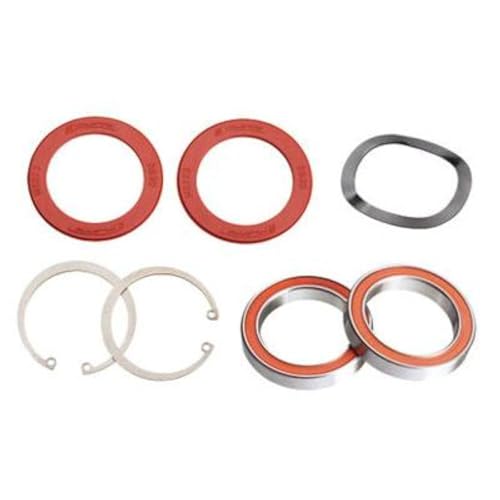 F.S.A. 421595026 Kit de rodamientos, Unisex Adulto, Argent, One Size