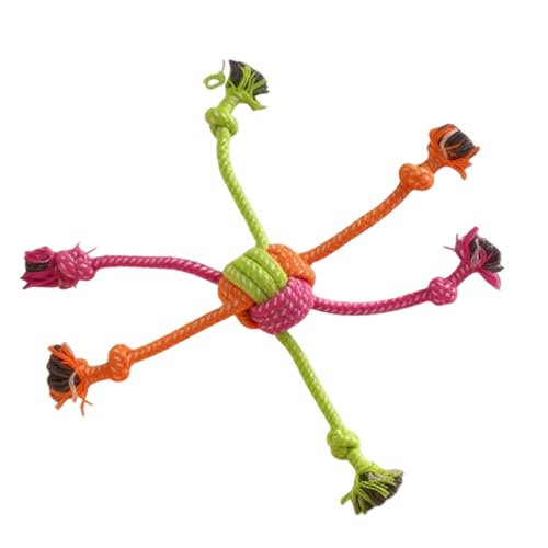 ƈVтłj,     C^NeBu ybg pi - pރ[vgC -  ދ OVїp