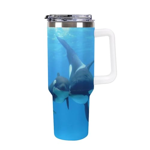 ԗp^u[ 킢 V` Cm  ԗpRbv 1100ml J[Jbv Wt Xg[t  }O{g ^u[ X|[c{g XeX{g ^fM ۉۗ ԗp|bg  e  ԍڗp