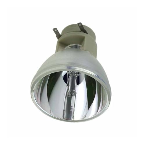 SP-LAMP-070 pièce de rechange pour des soirées cinéma réussies avec IN122