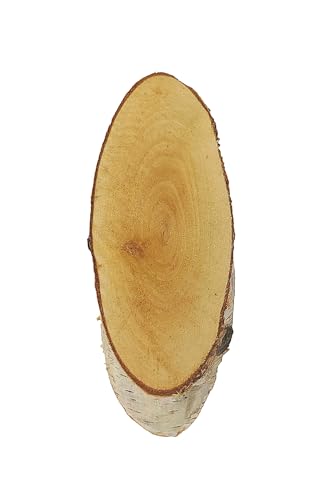 Birkenscheibe oval ca. 20-25 x 8-14 cm (Dicke: 1,5 cm) Holzscheiben Birkenstamm Birken Holz Dekoration Hochzeit Baumscheiben