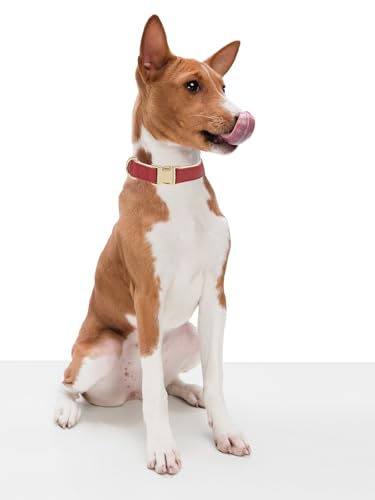 Collar para Perro de Cuero Clásico Suave XS Rojo miniatura 6