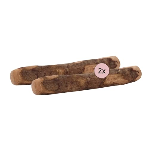 Kauies Olivenholz Kaustab für Hund mit Olivenöl - 100% natürlich, vegan & kalorienfrei - langelebiges Hunde-Spielzeug aus schadstoffgeprüftem Holz, Made in Germany, Größe M bis 20 kg (2er Pack)