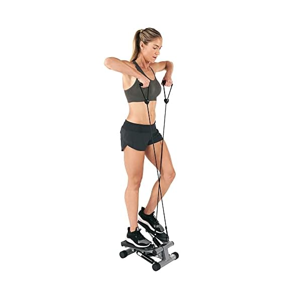 Sunny Health & Fitness Mini Stepper Stair Stepper Exercise Equipment with Resistance Bands