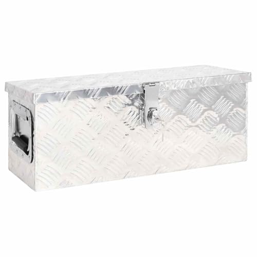vidaXL Caja de Almacenaje Remolque Herramientas con Tapa Baúl Accesorio para Casa Coleccionables Organizador Garaje de Aluminio Plateado