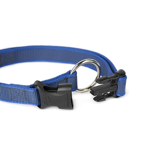 JULIUS K-9 225CG-B Color & Gray Halsband, 25mm*39-65 cm, verstellbar, blau-grau, 25 mm (39-65 cm)