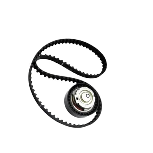 Kit courroie de distribution Dacia Lodgy 1.6 2012 moteur 159 130C17480R