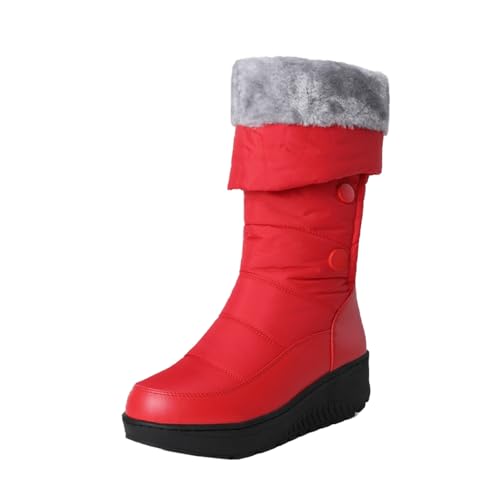 [Z_ `V] Xm[u[c fB[X h Xm[V[Y h ~ EB^[u[c C C ʊw ʋ h ےg ȌC ~p JWA  bh 傫TCY 24.5cm {A N  g O RXv 