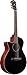 Ibanez AEG50L Left-Handed Acoustic-Electric Guitar - Black High Gloss Bundle with Gig Bag, Tuner, Strap, D'Addario Strings, Picks, Austin Bazaar Instructional DVD, and Polishing Cloth