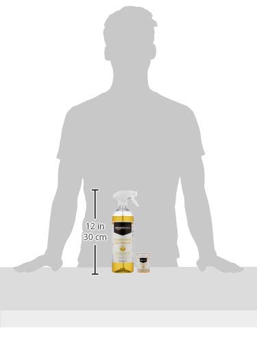 Amazon Basics Dissolvable Carpet Fabric Stain Remover Kit with 3 Refill Pacs