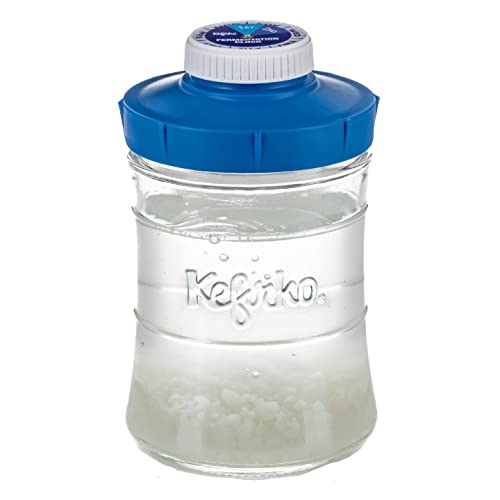 KEFIRKO Tarro para segunda fermentacion con tapa hermética | 848 ml | BPA Free