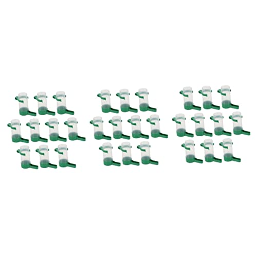 HAPINARY 30 ̋ pnX ZLZCCR ̐ ̃{E  ̉a ̕ P[WpCREH[^[fBXyT[ T̒ vX`bN Green