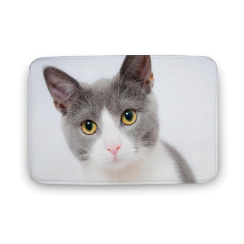 L   oX}bg z/唻 փ}bg  O    ~ Aj LN^[ @}bg   ʏ