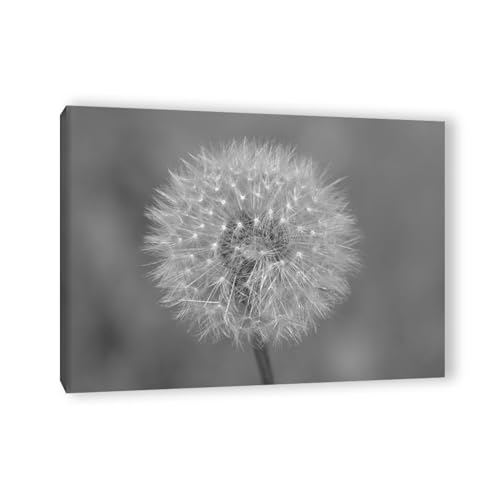 Tableau imprimé sur toile pissenlit EYEZER finition cadre intérieur