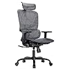 HUANUO Ergonomic Mesh Office Chair with 5-Level Lumbar Support, Computer Chair with Adjustable Headrest & Armrests, Rocking Tilt, Comfortable High Back Desk Chair for Home Office or Gaming